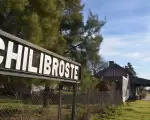 chilibroste