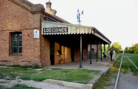 Los Cisnes
