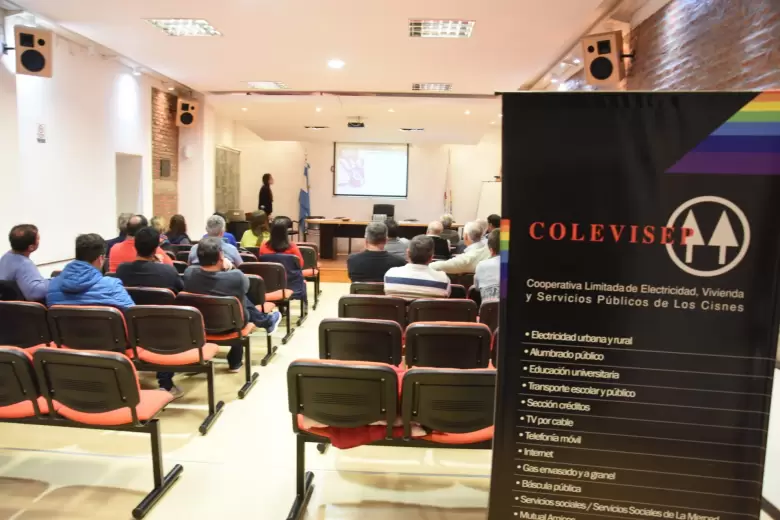 Cooperativa Limitada de Electricidad, Vivienda y Servicios P�blicos de Los Cisnes