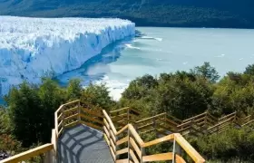 calafate