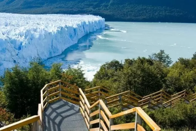 calafate