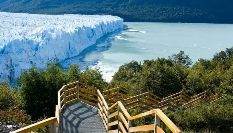 calafate