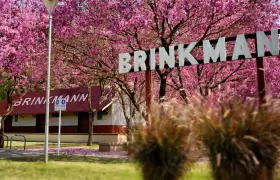 Brinkmann