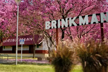 Brinkmann