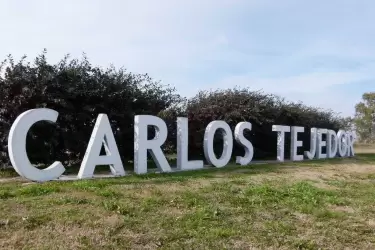 Carlos TEJEDOR