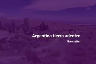 nota-newsletter_web