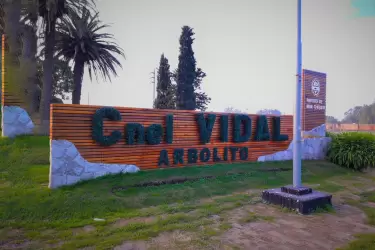 Coronel-Vidal-Arbolito