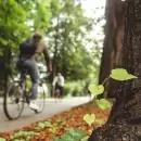 Informe: La deuda ambiental de la deforestaci�n