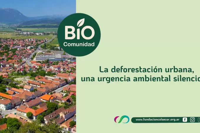 Biocomunidad: La deforestaci�n Urbana, una urgencia ambiental silenciosa
