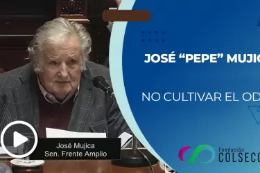 no cultivar el odio