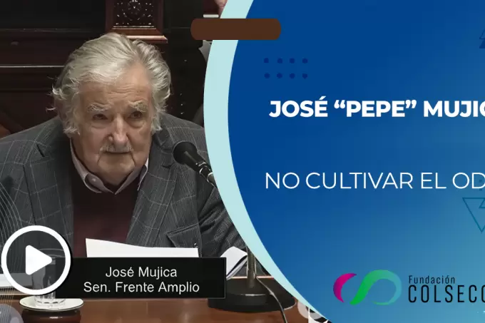 no cultivar el odio