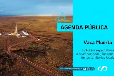 agenda publica - vaca muerta