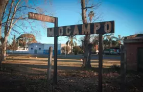 Manuel Ocampo