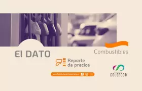2026 el dato repre combustibles web