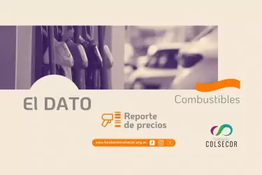 2026 el dato repre combustibles web