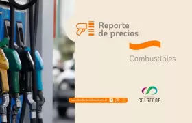 2026 repre combustible web