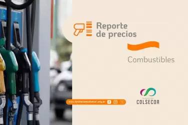 2026 repre combustible web