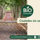 Ciudades sin sombra: políticas públicas que buscan recuperar los espacios verdes