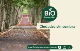 biocomunidad