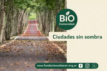 biocomunidad