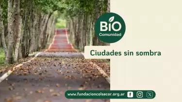 biocomunidad