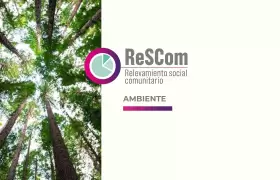 rescom ambiente web