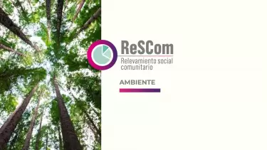 rescom ambiente web