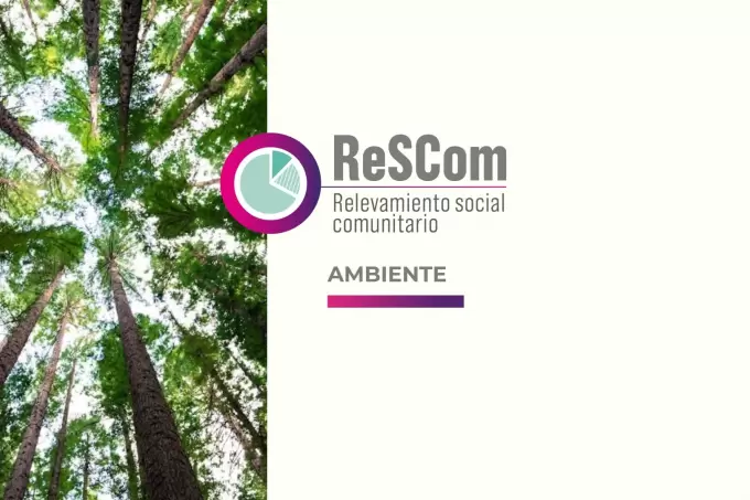 rescom ambiente web