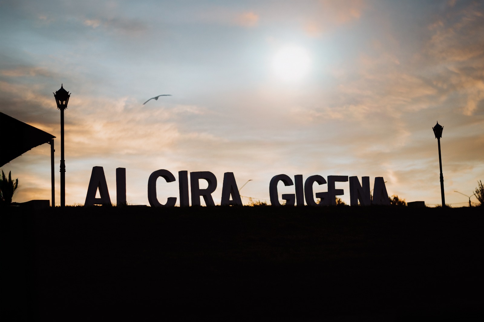 alcira0